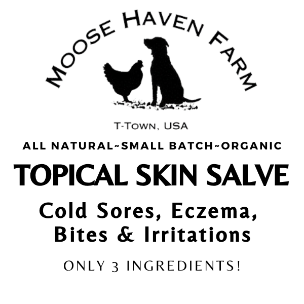 Skin Salve: Topical Skin Salve - 100% Natural ~ Non-Toxic | 2 oz Jar