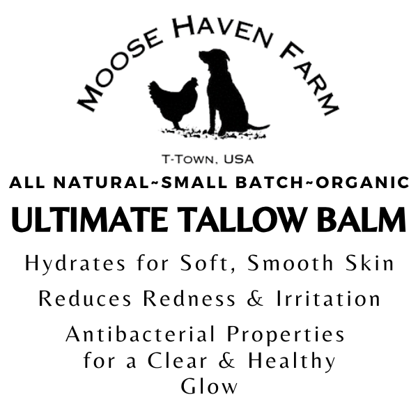 Balm: Facial and Body Ultra Hydrating Tallow and Manuka Honey Balm – Handmade, Small Batch | 2 oz Jar