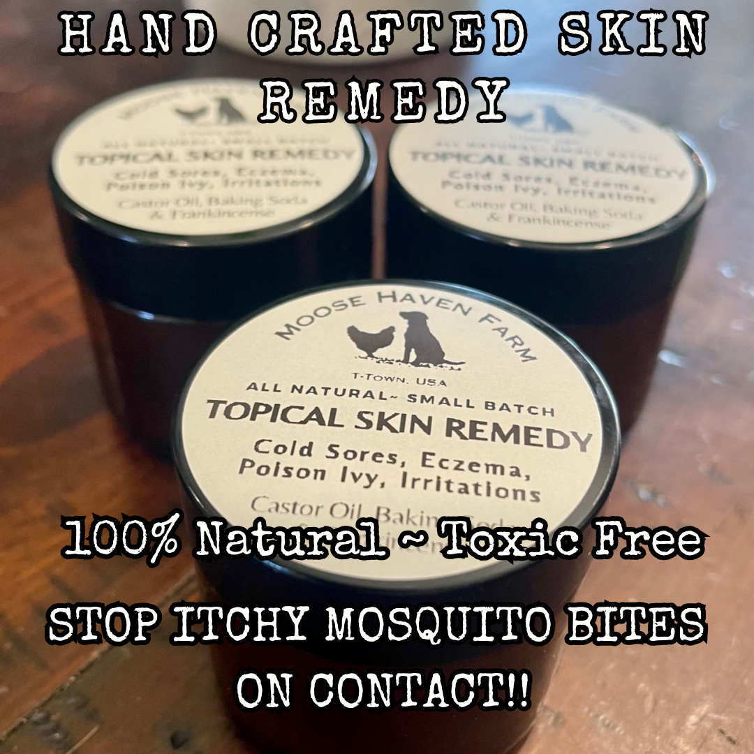 Skin Salve: Topical Skin Salve - 100% Natural ~ Non-Toxic | 2 oz Jar